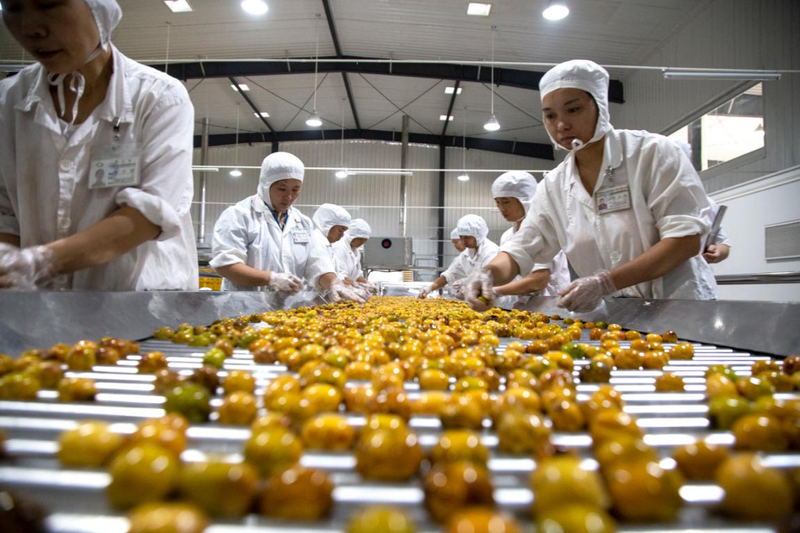 坚守绿色初心，铸就品质传奇——揭秘一家企业如何让产品连续24年通过“绿色食品”认证